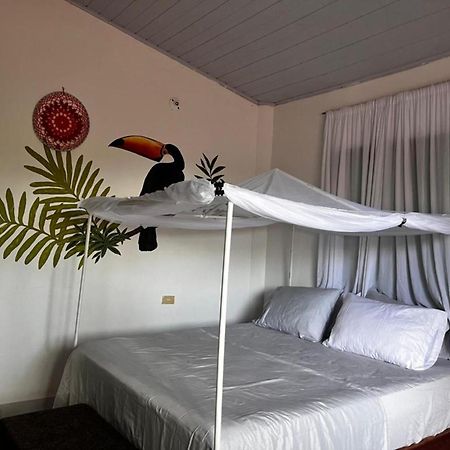 فندق Maiku Amazonas Puerto Nariño المظهر الخارجي الصورة