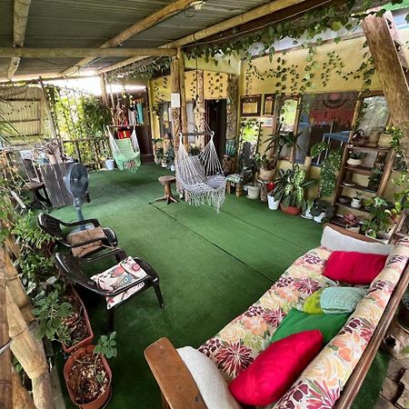 فندق Maiku Amazonas Puerto Nariño المظهر الخارجي الصورة