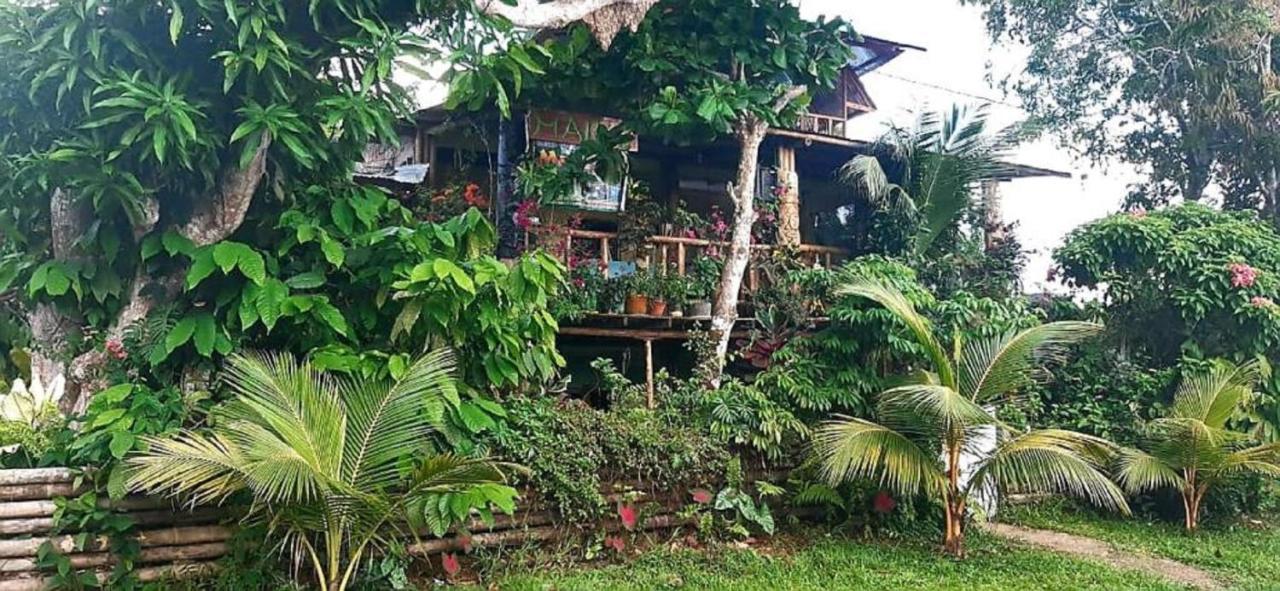 فندق Maiku Amazonas Puerto Nariño المظهر الخارجي الصورة