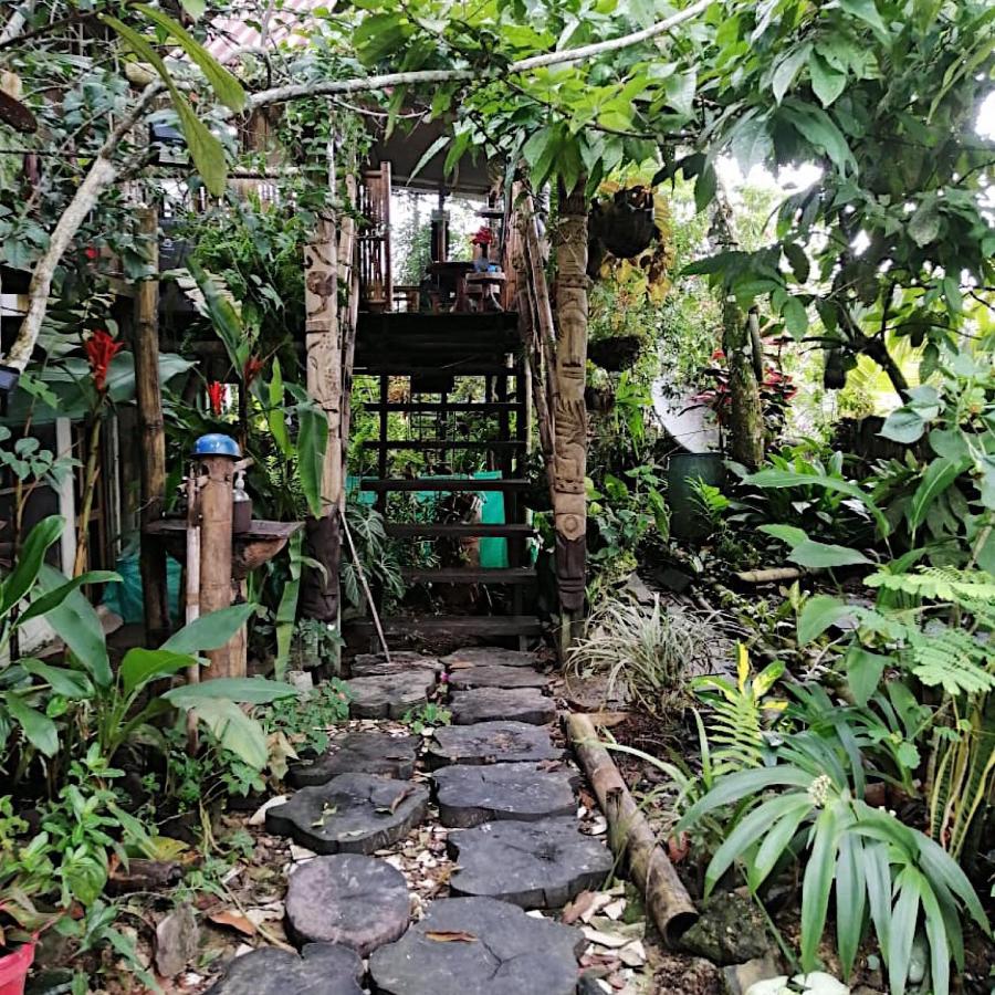 فندق Maiku Amazonas Puerto Nariño المظهر الخارجي الصورة