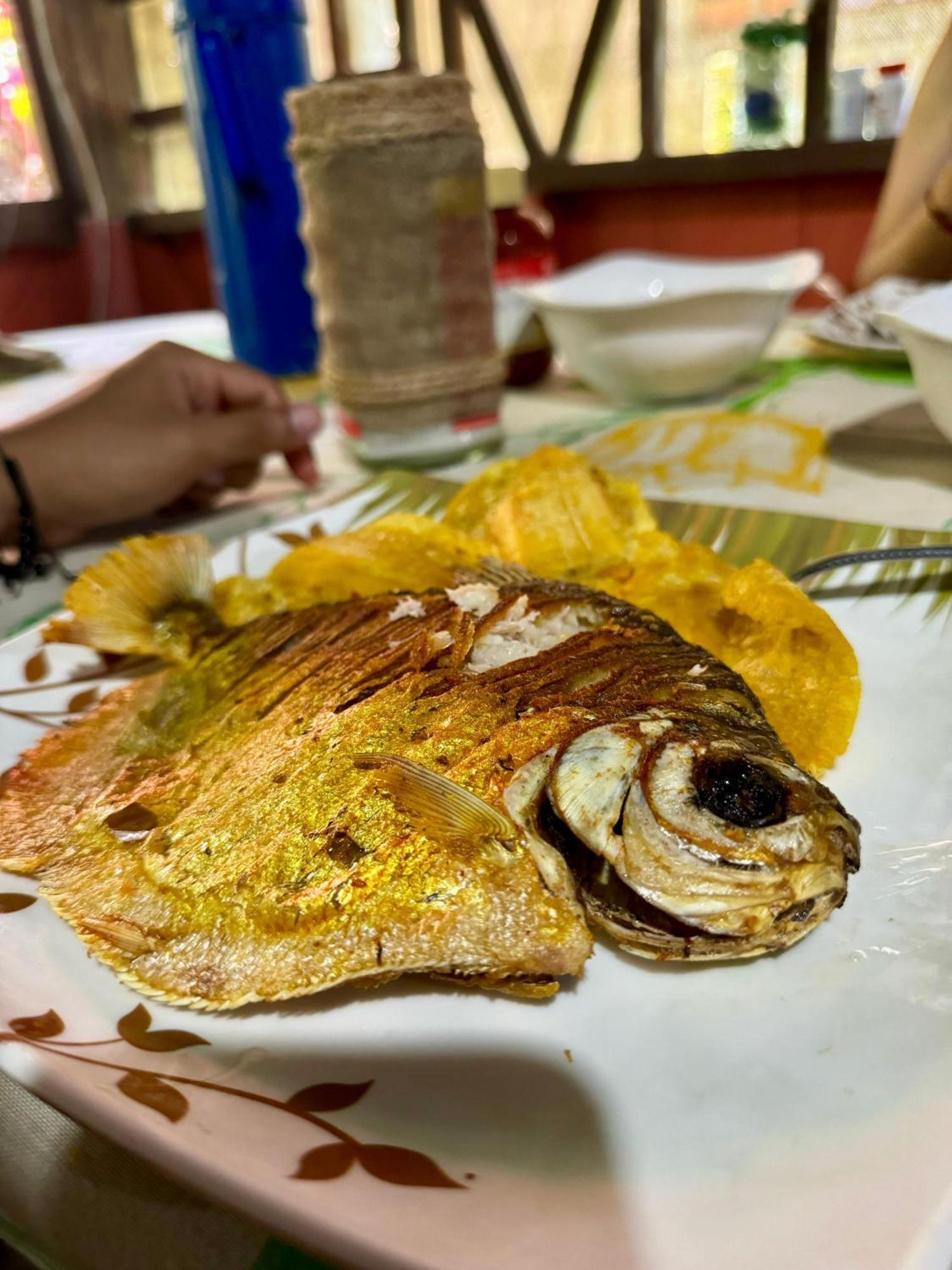 فندق Maiku Amazonas Puerto Nariño المظهر الخارجي الصورة